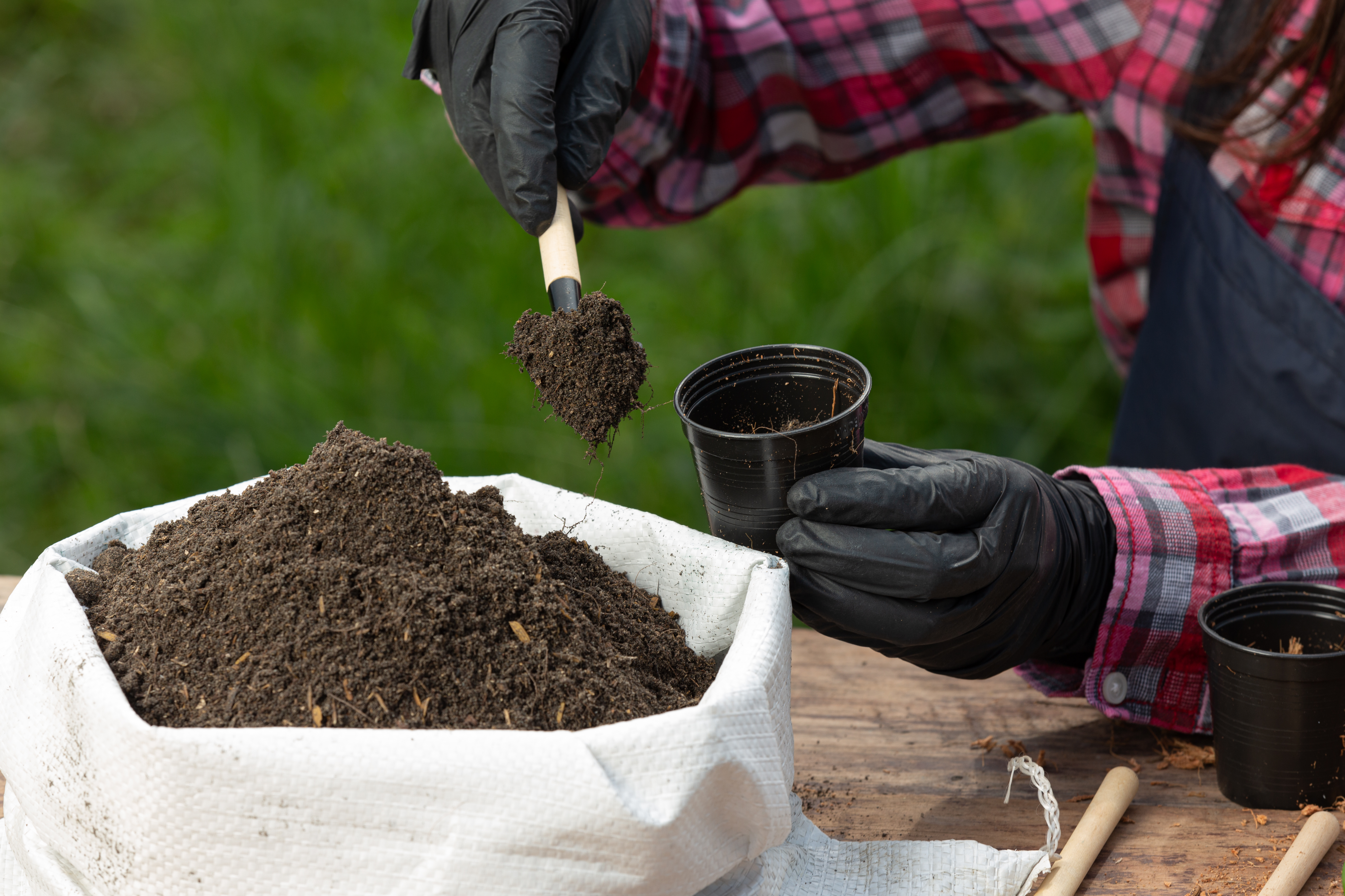 Bio Fertilizer